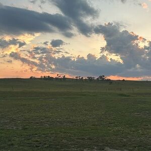 Meet your Posher, Avery